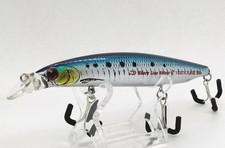 Galleggiante Daiwa Shore Line