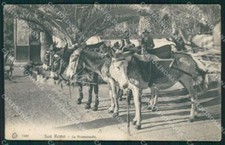 Imperia San Remo Asini PIEGA