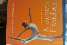 Fundamentals anatomy - anatomy, &