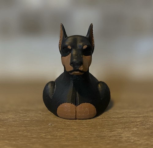 Doberman pinscher duck - doberman,