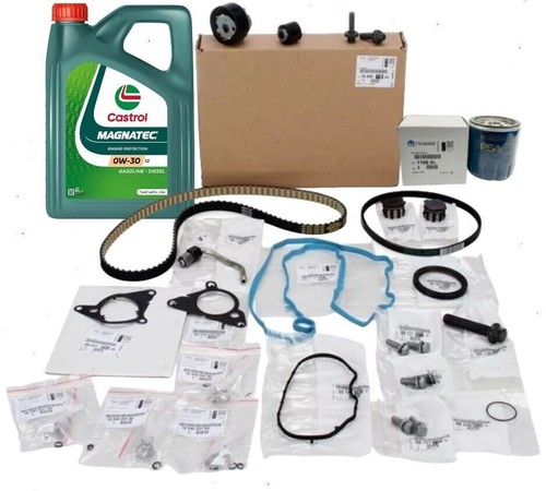 Kit cinghia bagnata originale - bagnata,