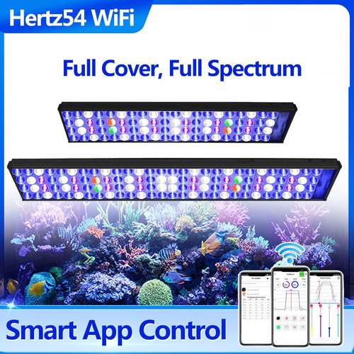 Popbloom wifi illuminazione - wifi,