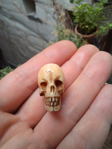 Crâne memento mori xviii - memento, eme