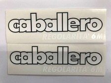 COPPIA ADESIVI LOGO FANTIC MOTOR CABALLERO REGOLARITA` 6M  AD990016
