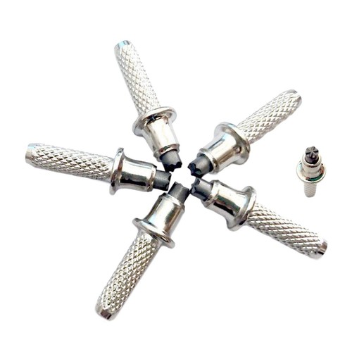 Alpenstock pointes de - –,