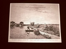 Esposizione d'arte di Napoli del 1877 Il Sile a Quinto Quadro Guglielmo Ciardi