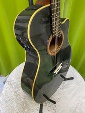 Chitarra elettrica acustica