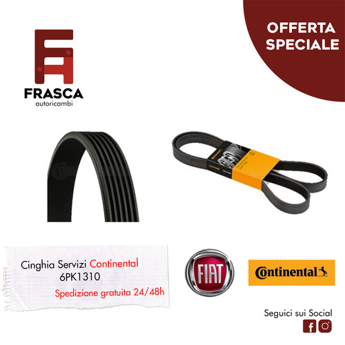 Cinghia servizi polyv - cinghia,