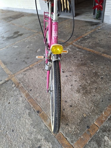 Bicicletta donna - bicicletta,