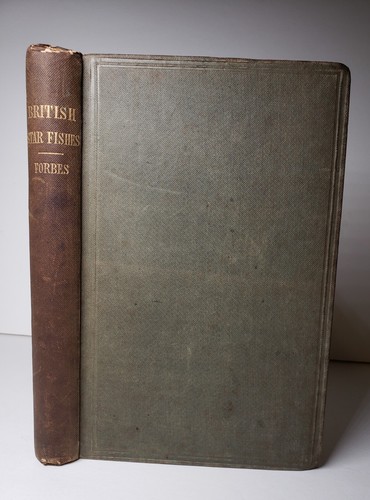 Edward forbes history - forbes,