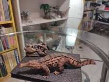 Safari Ltd. 100356 SARCOSUCHUS - Dinosauro da collezione perfetto lunghezza cm26