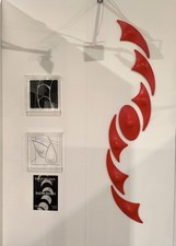 Andrea Bassani No Bruno Bani