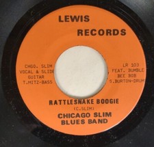 Chicago Slim Blues Band