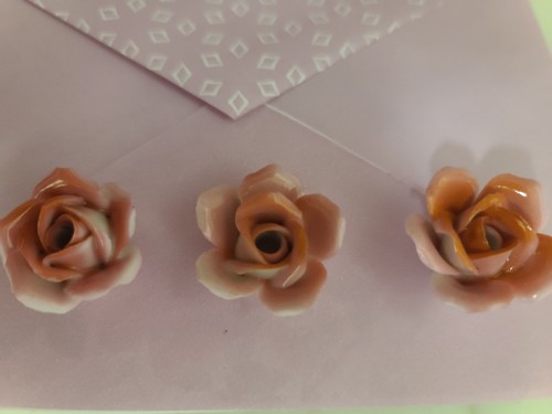 Nuove rose rosa stile - nuove,