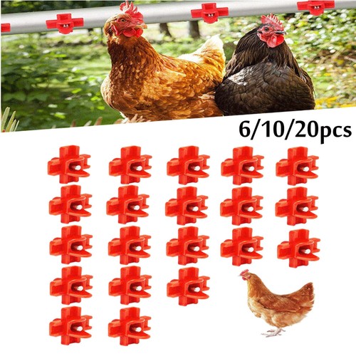 Irrigatore capezzoli pollo