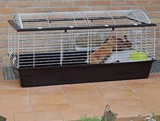 Ferplast Gabbia per Conigli CASITA 120+Lettiera + Vari Accessori - Solo Ritiro