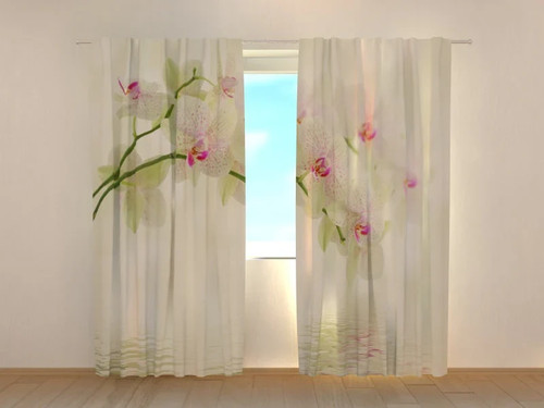 Tende fiori bianchi - -,