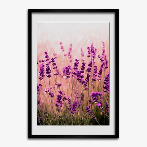 Quadro tulup mdf incorniciato - quadro,
