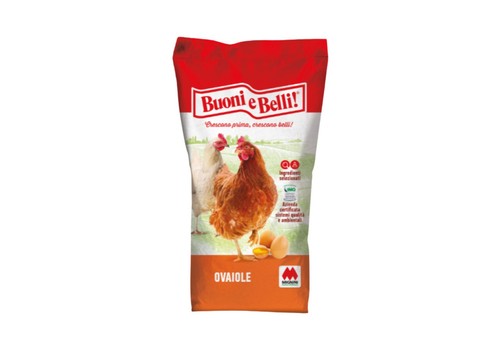 Mangime mangimi per gallina - mangime,