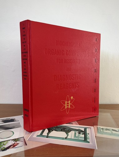 Damien hirst vintage - damien, 90s