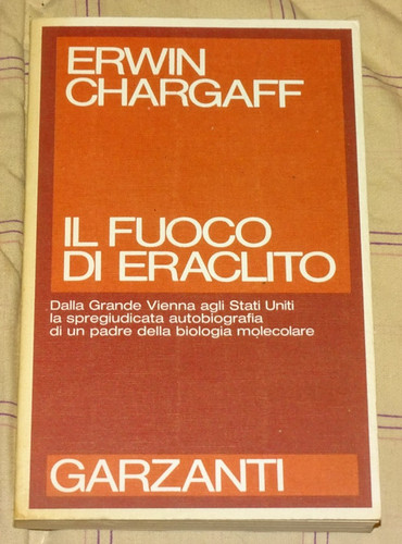 Fuoco eraclito erwin - fuoco,