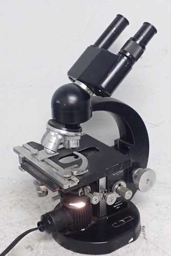 Microscopio binoculare vintage