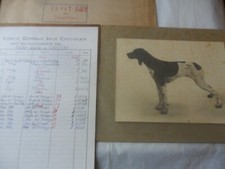 FOTOGRAFIA ORIGINALE + GENEALOGIA PETIT BLEU DE GASCOGNE