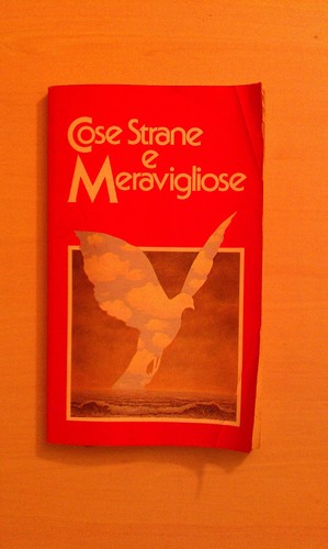 Cose strane meravigliose - meravigliose,