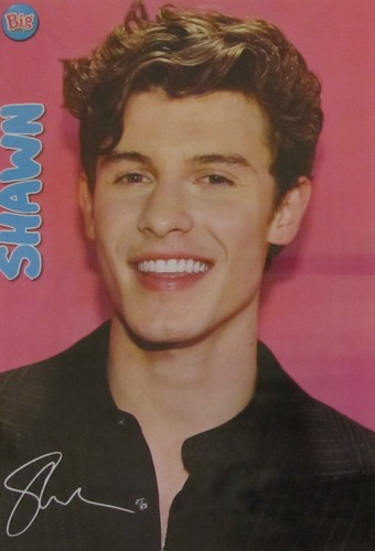 Shawn mendes federica - -, carta