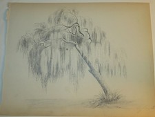 SCUOLA FRANCAISE XIX DISEGNO PAESAGGIO ALBERO SAULE LAC ENGHIEN les BAINS PAR...