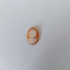 Cammei Camei Cameo Conchiglia