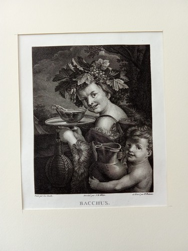 Incisione antica bacco - incisione,
