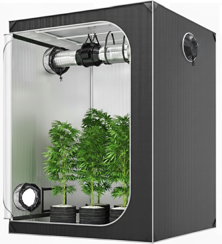 Tenda coltivazione grow - tenda,