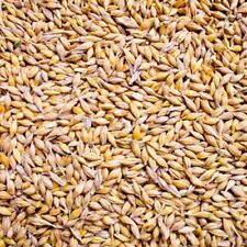 Orzo in natura Mangime per Polli Galline cavalli conigli sacco da 25 kg