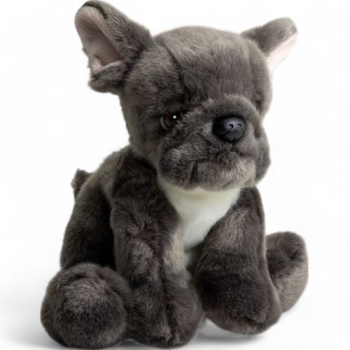 Bulldog francese seduto cane - francese, seduto,