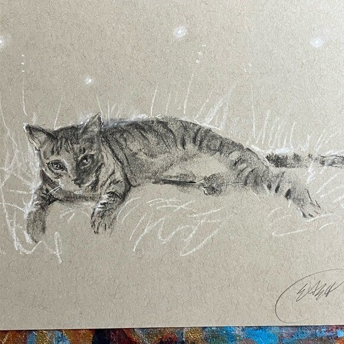 Quadro originale gatto - , gattino