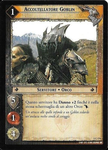 Signore degli anelli - il,