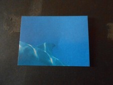 FIGURINA IL GRANDE ALBUM DEGLI