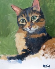 Ritratto originale gatto