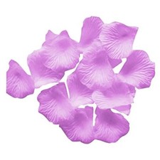 Petali viola finti -