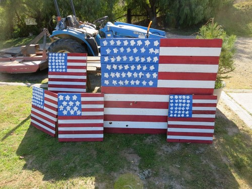 Bandiera americana rustica - americana, in