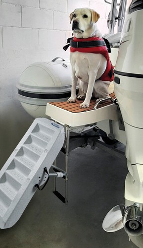 Osculati scaletta per cani - per,