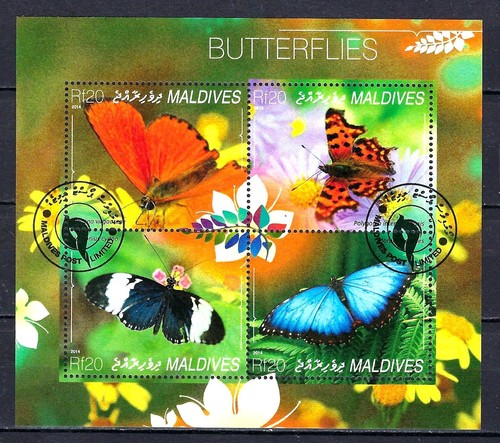 Animali farfalle maldive - farfalle,