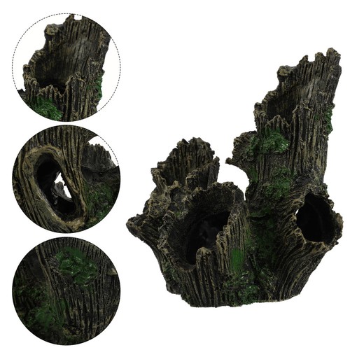 Acquario pesci arredo - pesci, ceppo