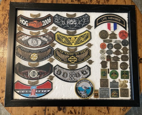 Hog harley davidson gruppo - harley,