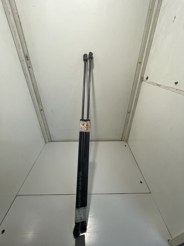 Pistoncini molle gas - molle, a