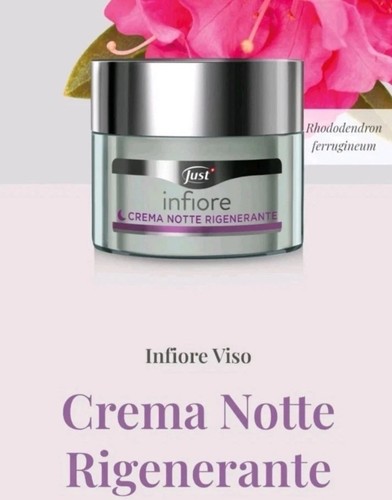 Crema viso notte - crema,