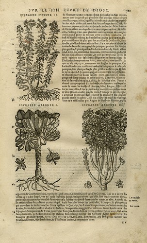 Stampa