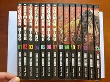 Shaman King Perfect Edition -