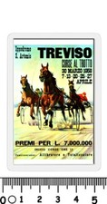 calamita treviso ippodromo sant' artemio corsa cavalli trotto allibratore ippica